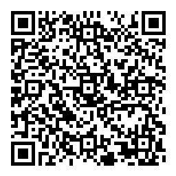 Pix QR Code